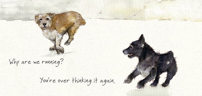 Patterdale and Norfolk Terrier Greeting Card - Over Thinking