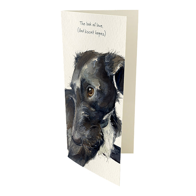 Lurcher Greeting Card – Look of Love