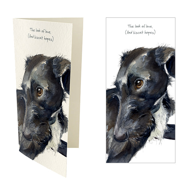 Lurcher Greeting Card – Look of Love