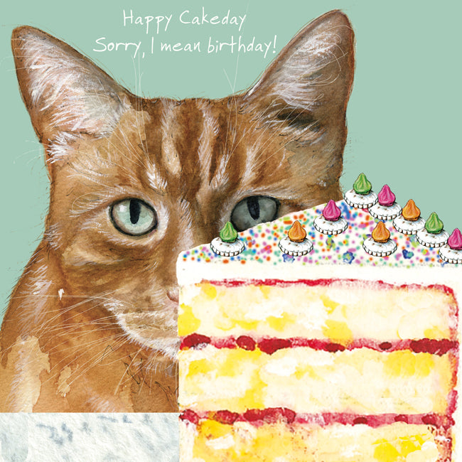 Beloved internet meme sensation, Smudge the Cat, celebrates his 9th birthday  and adoption anniversary