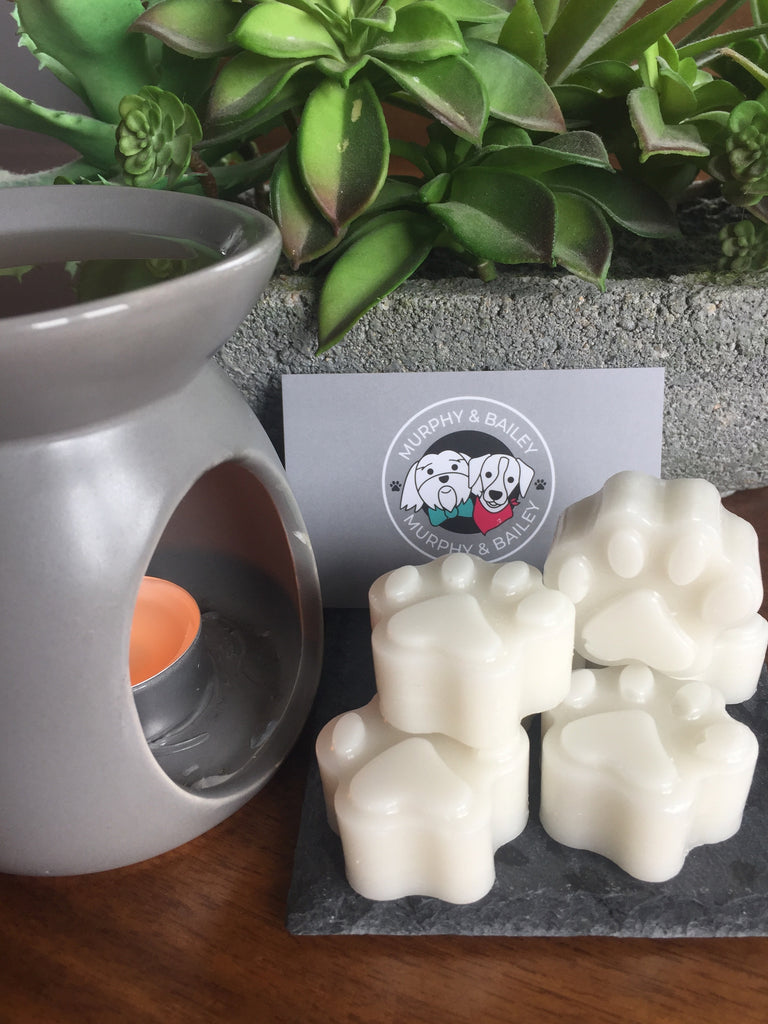 Ambered Woods and Patchouli Wax Melts