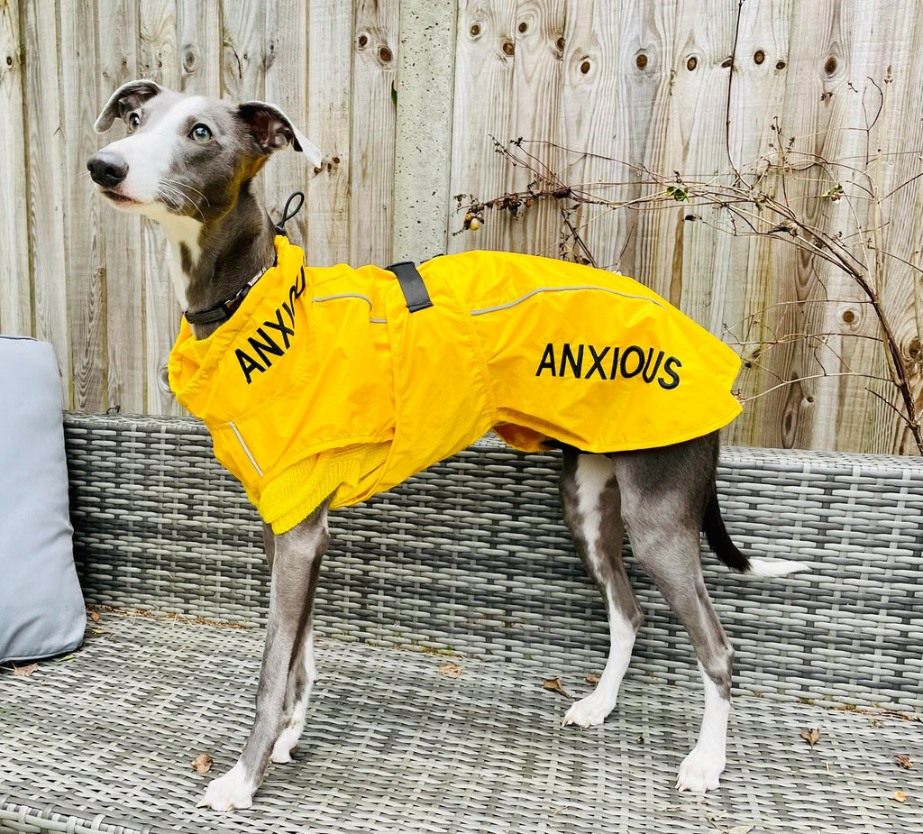 ANXIOUS Lightweight Raincoat (My Anxious Dog)