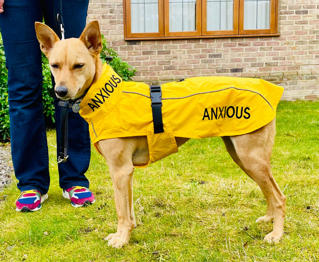 ANXIOUS Lightweight Raincoat (My Anxious Dog)
