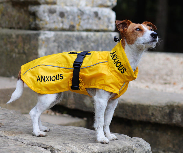 ANXIOUS Lightweight Raincoat My Anxious Dog Murphy Bailey