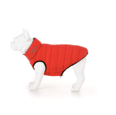 Jack murphy danielle sales dog walking coat