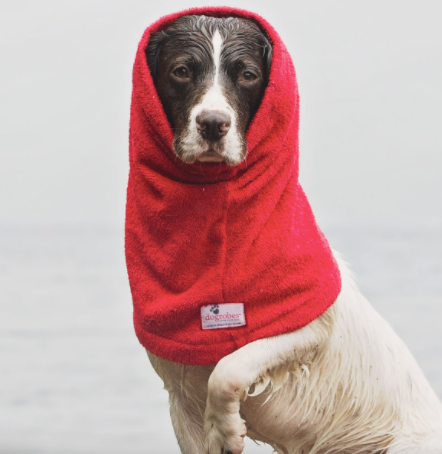 Dog Robe - Snood
