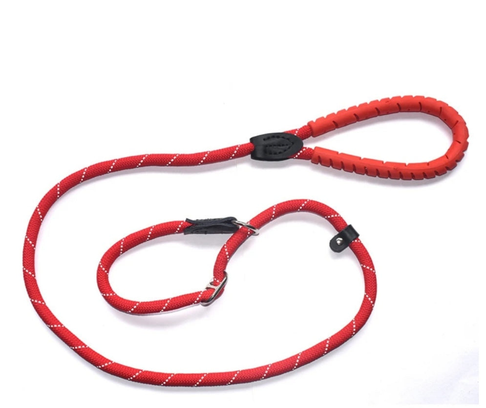 Duo Lead - Slip Lead & Training Lead in One