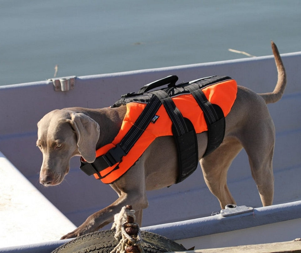 Dog Safety Life Jacket