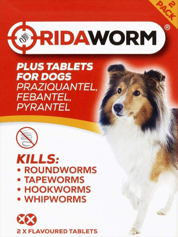 RidaWorm Tablet for Dogs and Cats