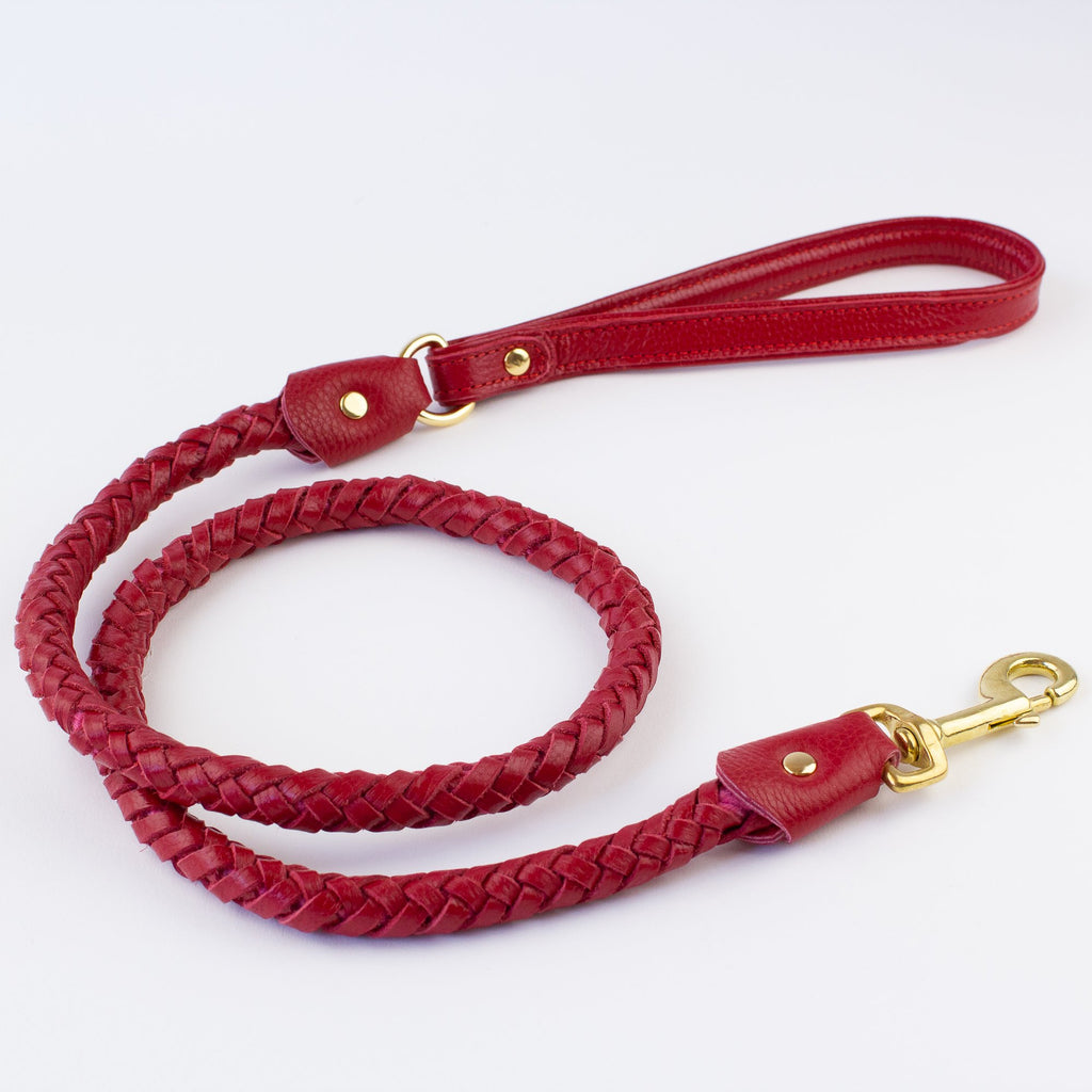 Willow Walks Leather Lead
