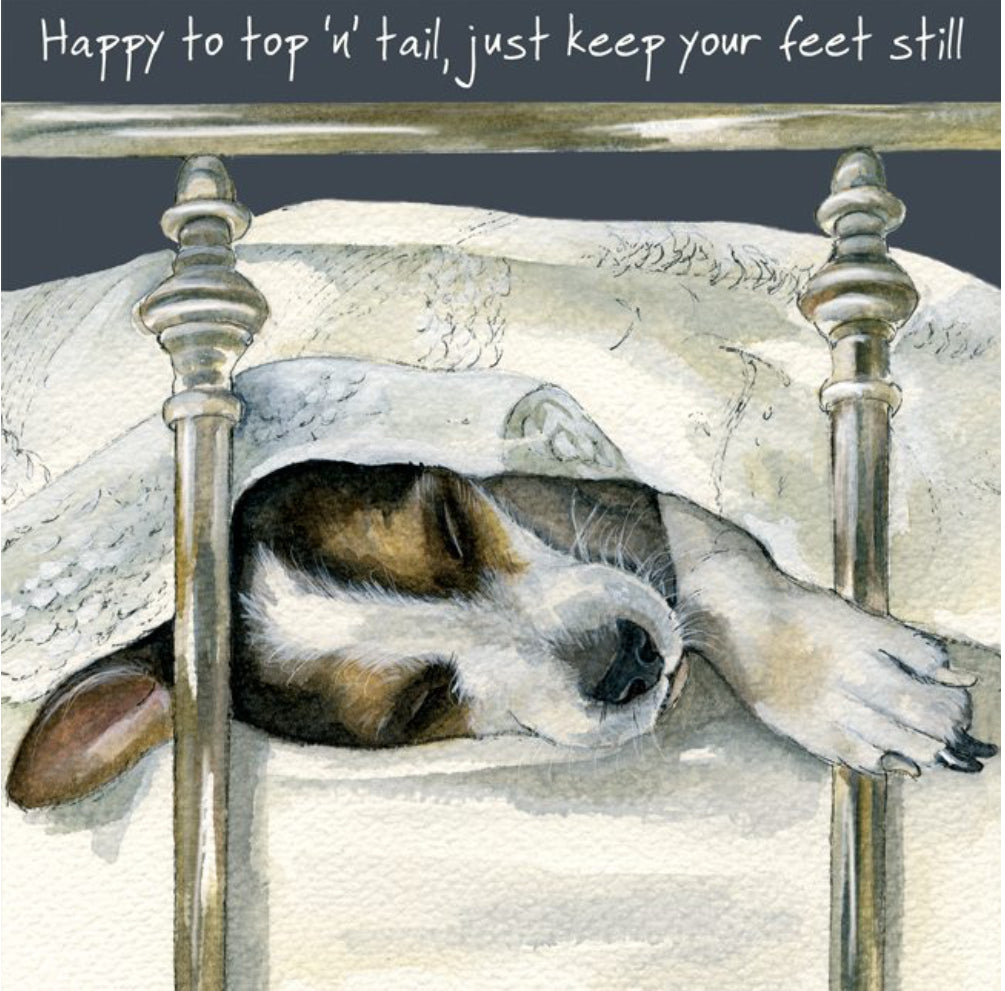 Terrier Dog Greeting Card - Happy to top ’n’ tail, just keep your feet still