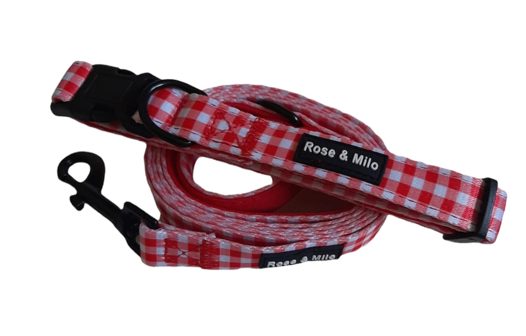 Lead - Red & White Gingham