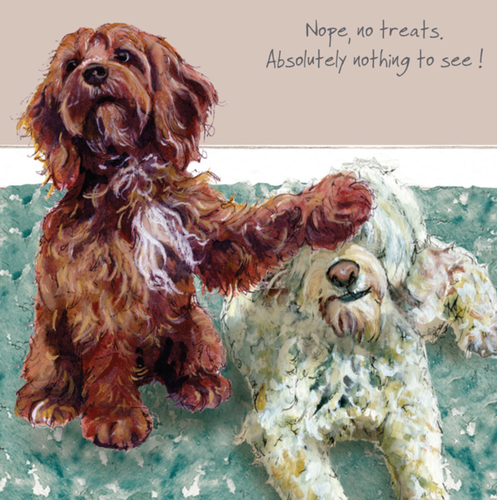 Cockapoo Greeting Card - Nope, no treats. Absolutely nothing to see