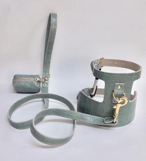 Willow Walks Leather Harness