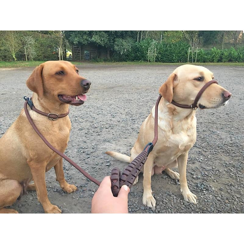 Duo Lead - Slip Lead & Training Lead in One