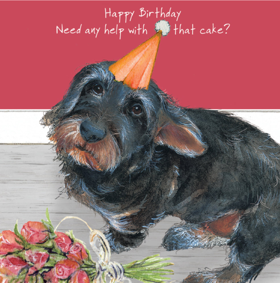 Dachshund Dog Greeting Card - Happy Birthday, need any help with that cake?