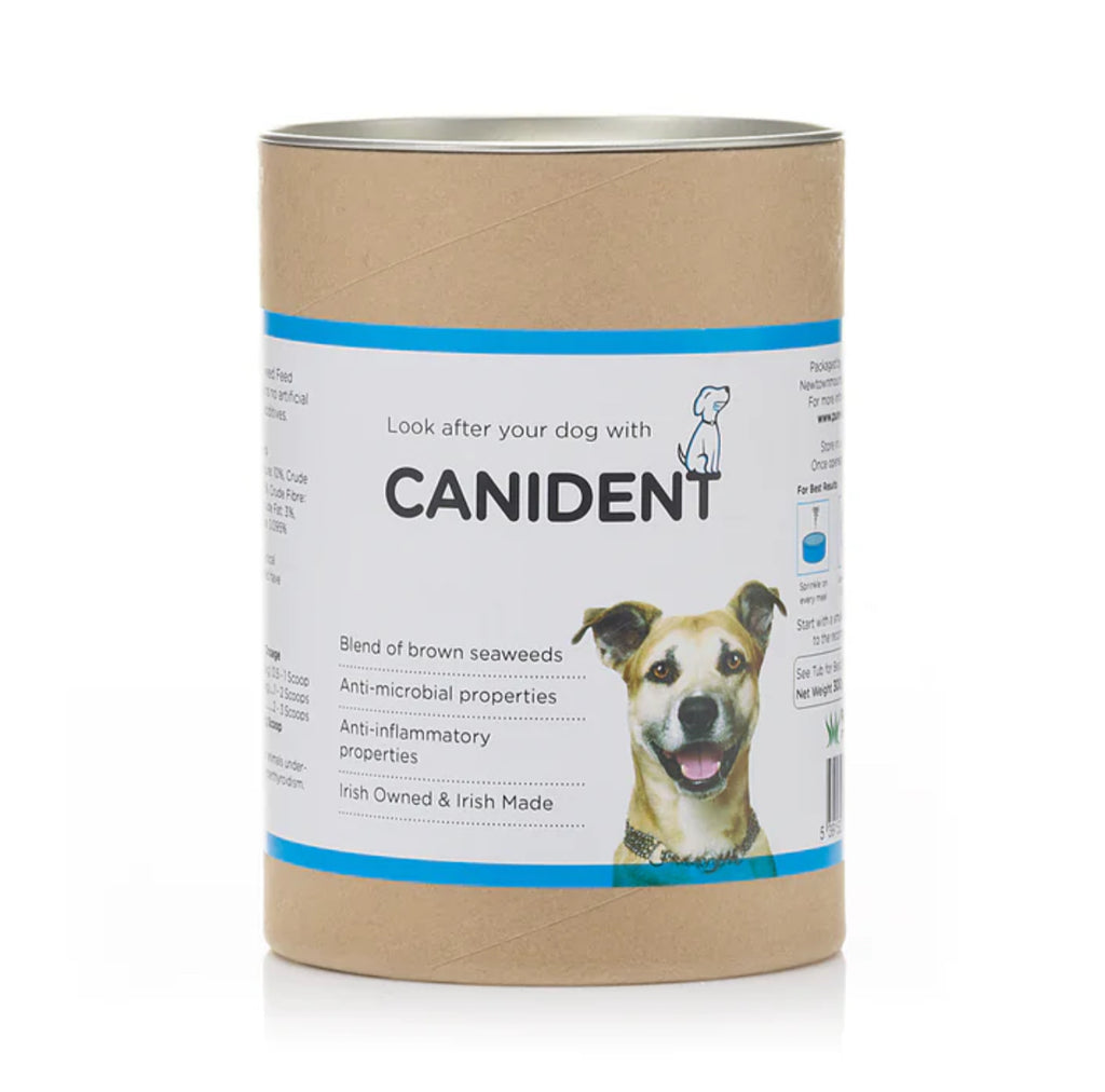 Canident