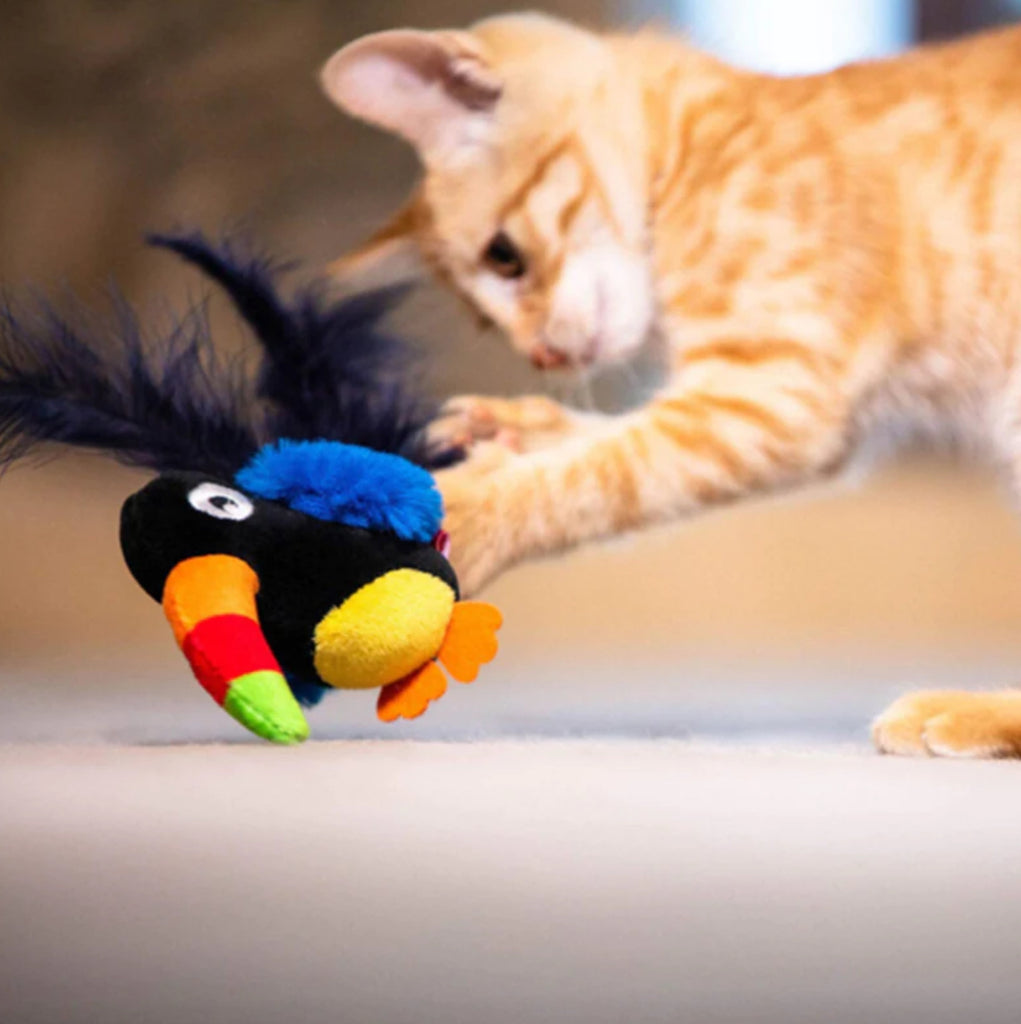 Toucan Cat Toy (Melody Chaser)