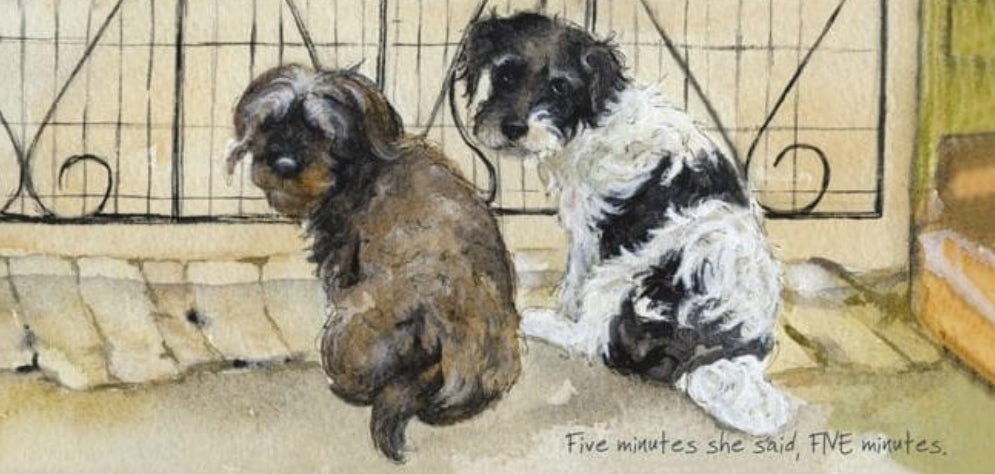 Terrier’s Dog Greeting Card – Five minutes she said, FIVE minutes.